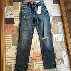 Zara Blue High Rise Distressed Jeans